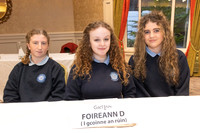 Díospóireacht Cadhain-1530