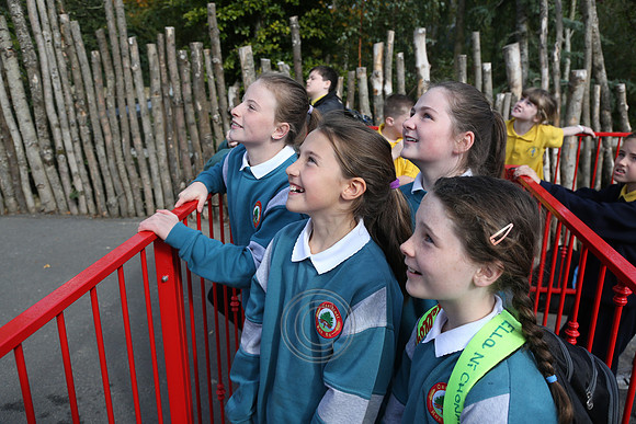 TaytoPairc-3107