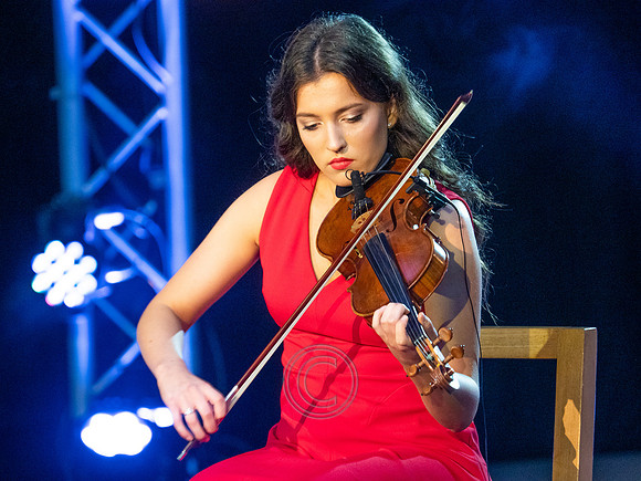 OIREACHTAS CLÁR-1204