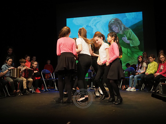 Ceoltóirí Óga Chois Fharraige-1010061
