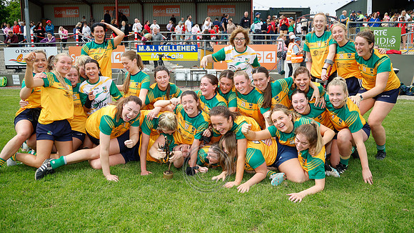 CLANN NA nGAEL V N FIONNBARRA-681