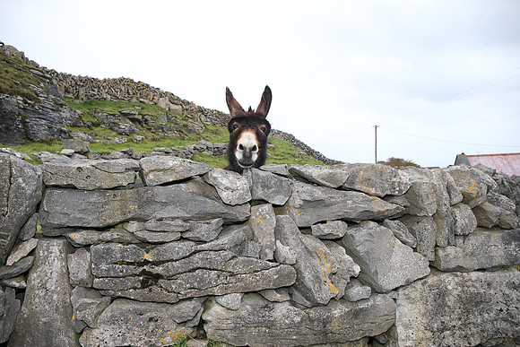 Iron Inis Meáin-0377