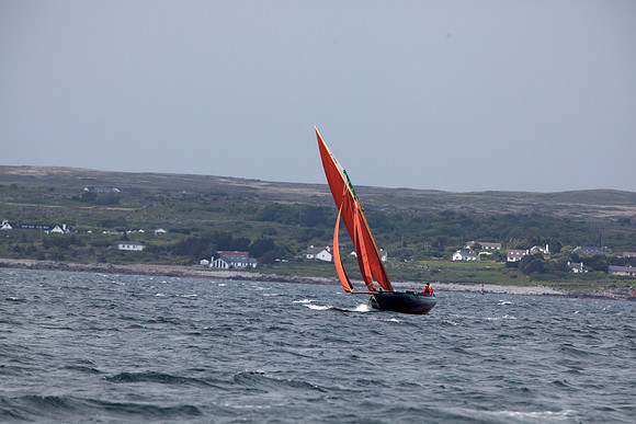 FeileBadSpid14-5462