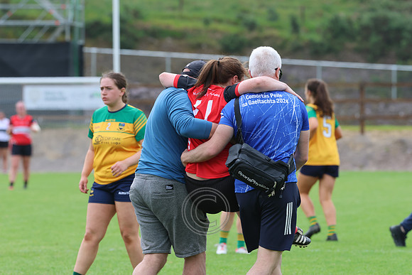 CLANN NA nGAEL V N FIONNBARRA-398