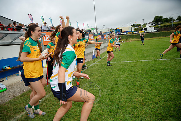 CLANN NA nGAEL V N FIONNBARRA-506