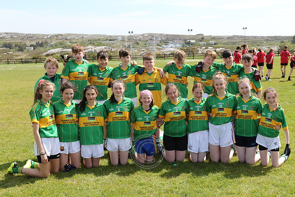 Féíle Peile Gael Linn 2019