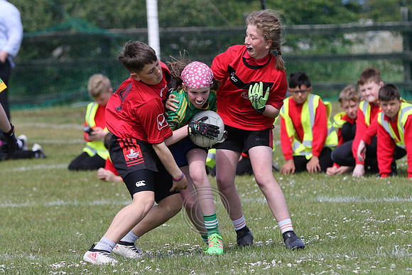 Feile Peile 2 -0103
