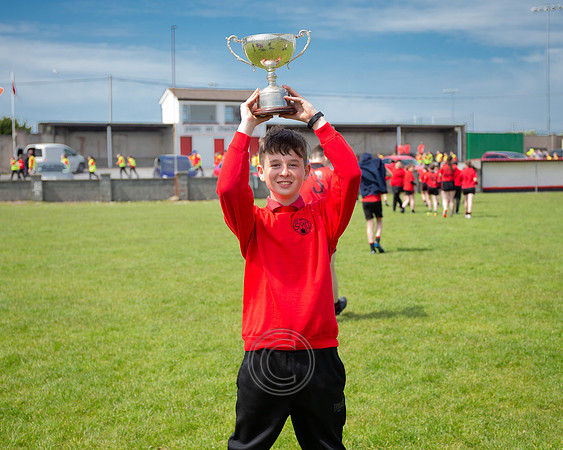 Peil 2 Gael Linn 2019