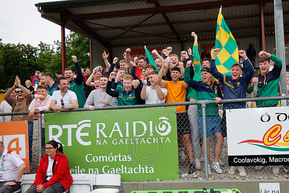 CLANN NA nGAEL V N FIONNBARRA-614