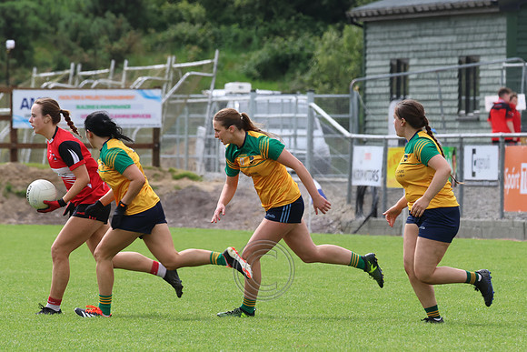 CLANN NA nGAEL V N FIONNBARRA-352