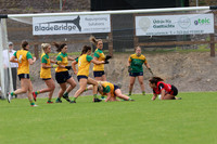 CLANN NA nGAEL V N FIONNBARRA-48