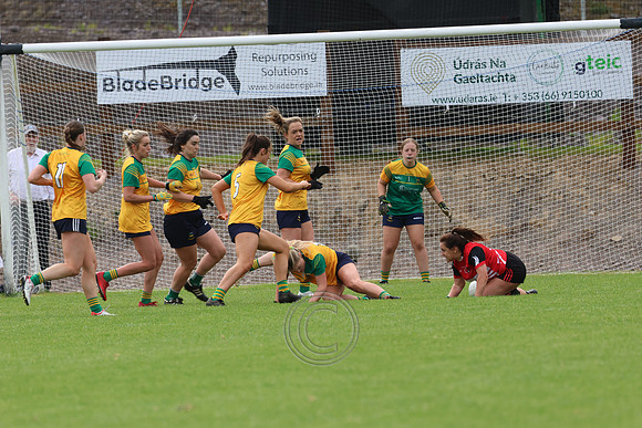 CLANN NA nGAEL V N FIONNBARRA-48