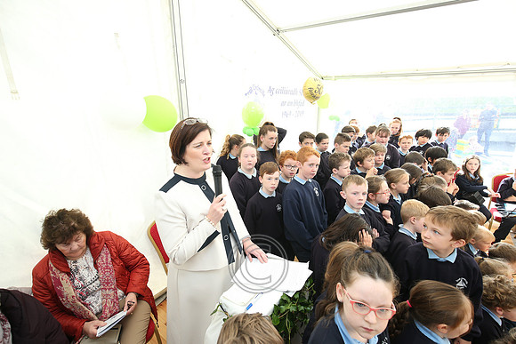 Colmcille 50-0031