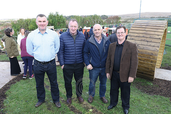 Colmcille 50-0055