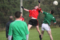 Colmcille -0061