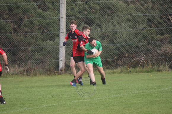 Colmcille -0072
