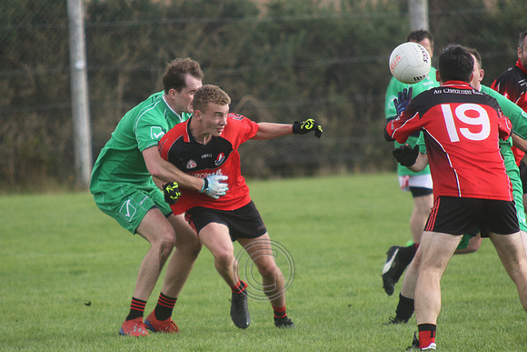 Colmcille -0117