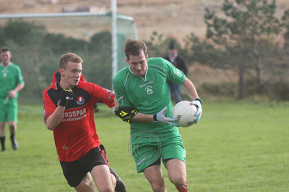 Colmcille -0130