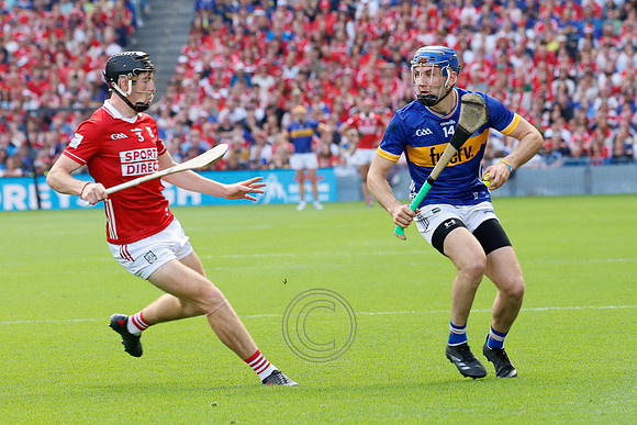 TIPP V CORK PLAY-0607