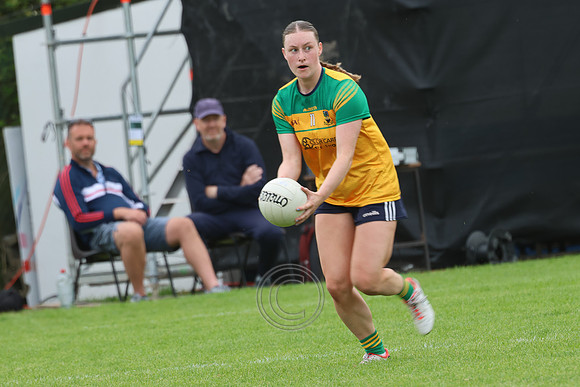 CLANN NA nGAEL V N FIONNBARRA-79
