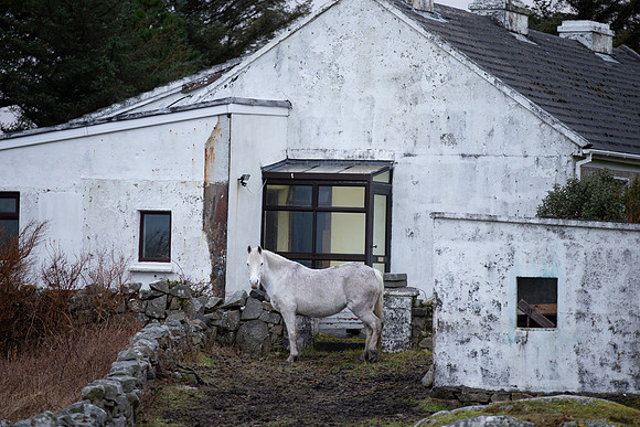 Pony Cuileán-0154