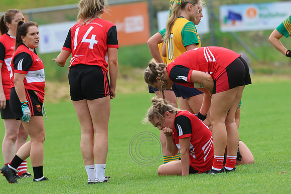 CLANN NA nGAEL V N FIONNBARRA-46