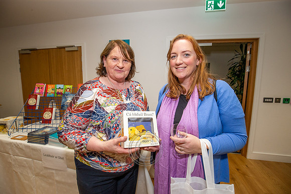 An Gúm Seoladh Leabhar