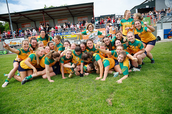 CLANN NA nGAEL V N FIONNBARRA-673