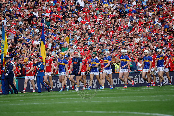 TIPP V CORK PLAY-0157