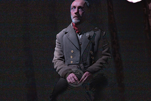 Bonnán Buí-2694