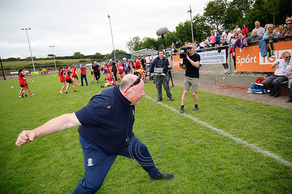 CLANN NA nGAEL V N FIONNBARRA-621