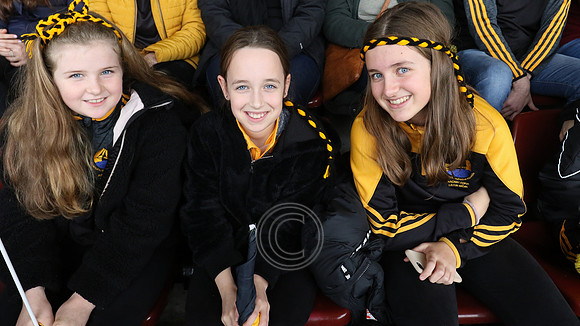 NAOMH ANNA-865