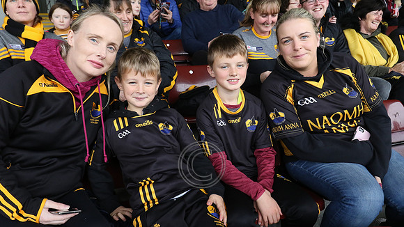 NAOMH ANNA-871