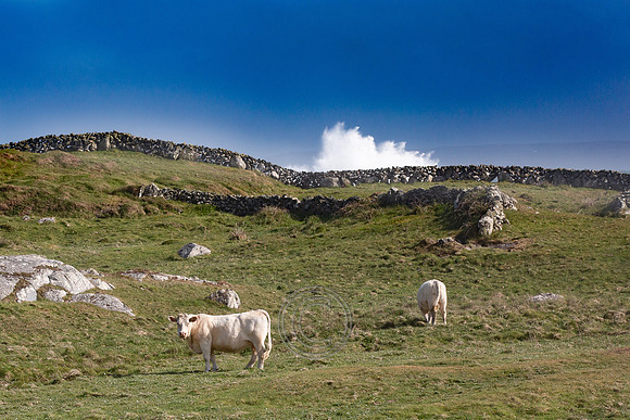 Ceann Gólaim-214-2