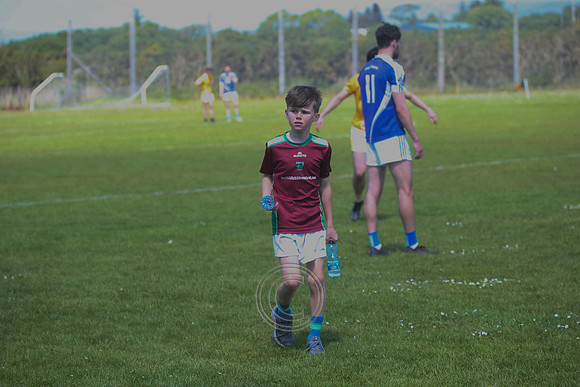 CARNA CAISEAL V GAEIL FHÁNADA-164