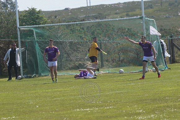 RINN V BHULF TÓN-270