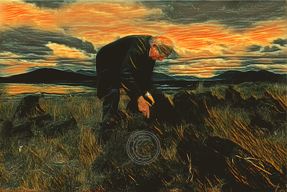 Turf cutter