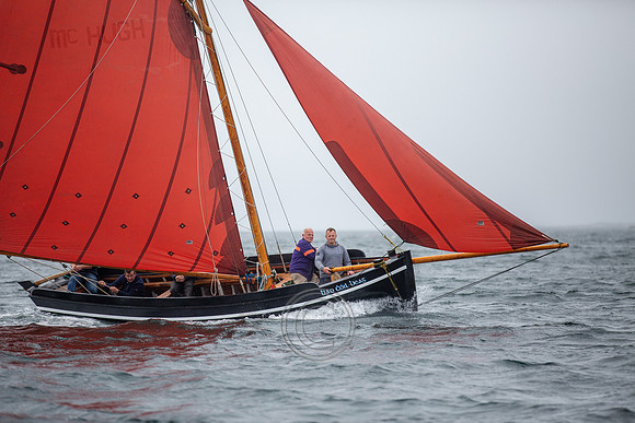 GLEOITEOG SEOLADH-446