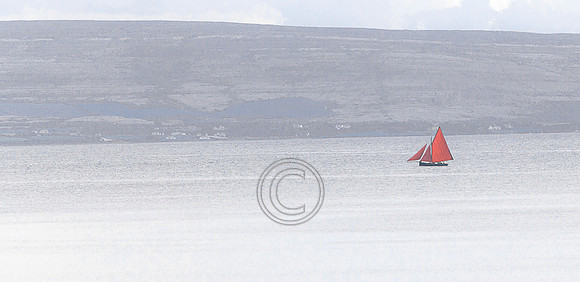 Hooker_Burren-2_August_15__2012