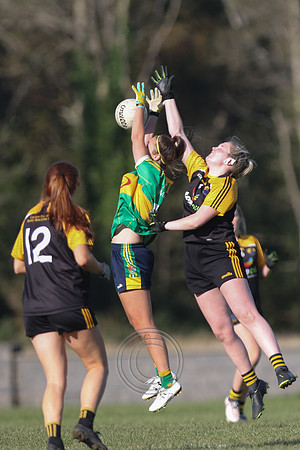 Naomh Anna 2020-0039