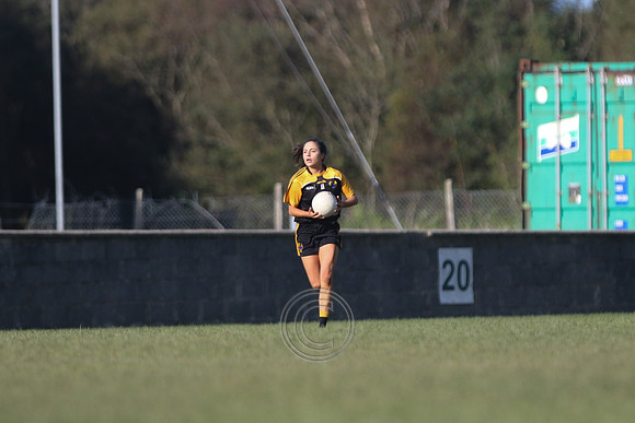 Naomh Anna 2020-0043