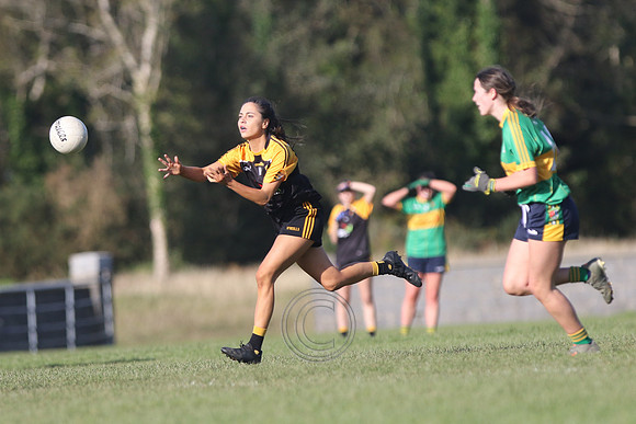 Naomh Anna 2020-0065