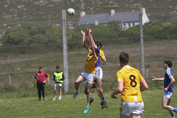CARNA CAISEAL V GAEIL FHÁNADA-101