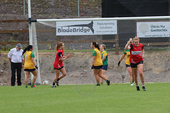 CLANN NA nGAEL V N FIONNBARRA-191