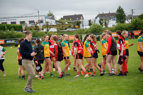 CLANN NA nGAEL V N FIONNBARRA-599