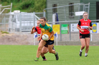 CLANN NA nGAEL V N FIONNBARRA-111