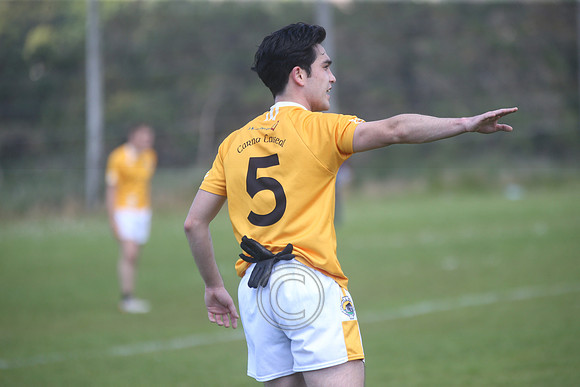 CARNA CAISEAL V GAEIL FHÁNADA-163