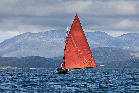 Féile_CnaRón2_14-8375