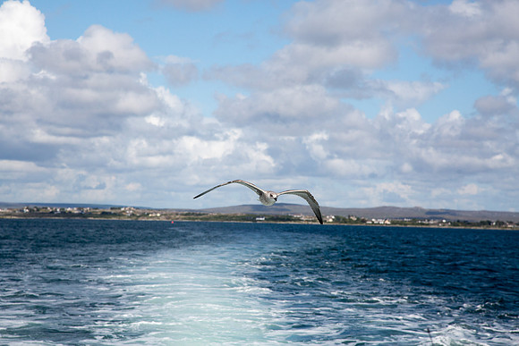 FéilenanOileán14-0021