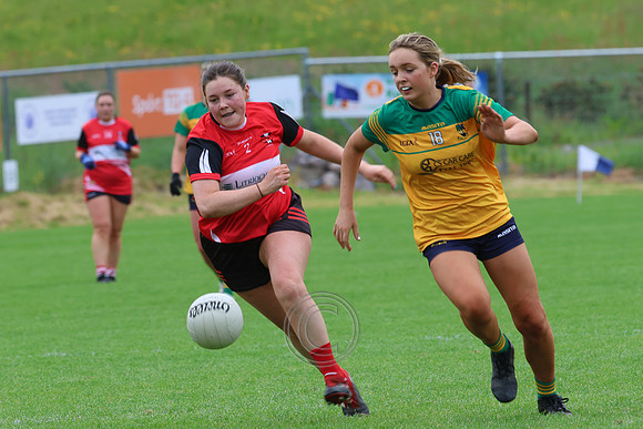 CLANN NA nGAEL V N FIONNBARRA-236